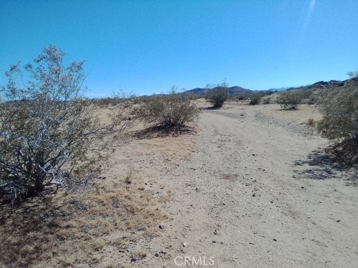 60820 Summers Road Landers, CA 92285 - Photo 3 of 8