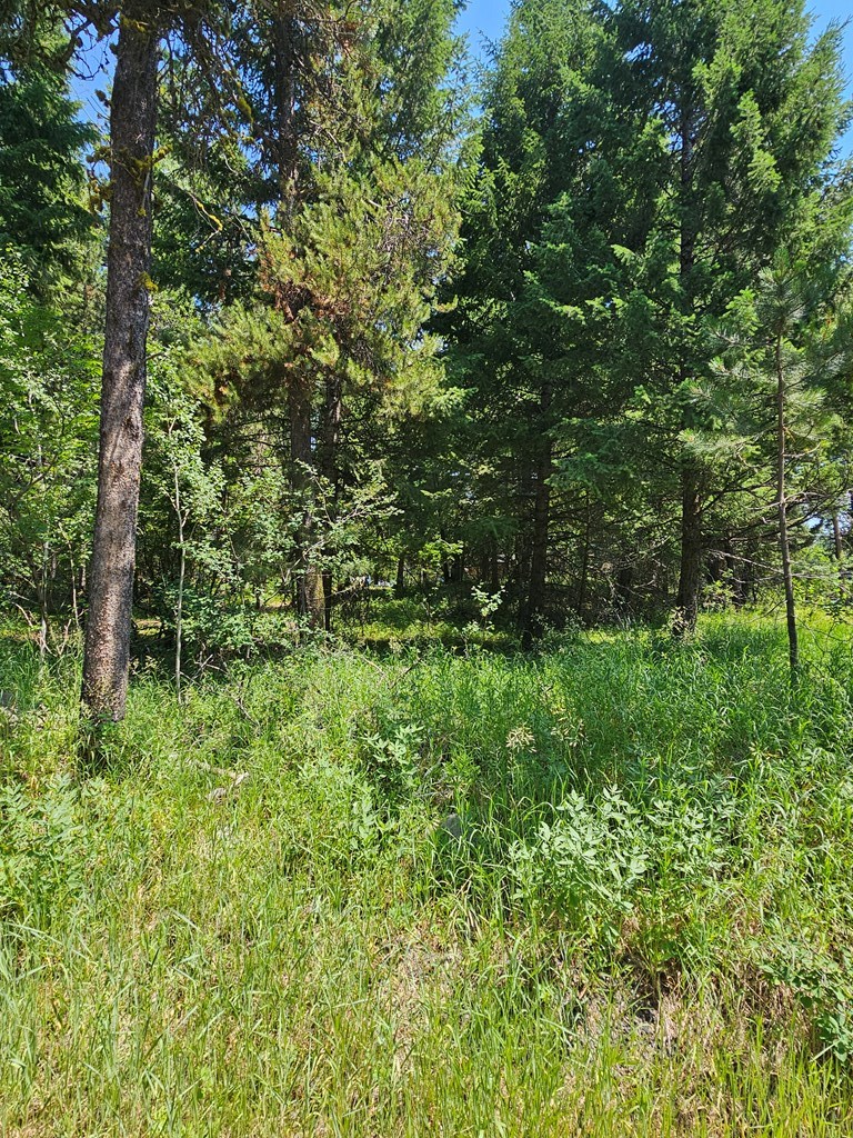 693 North Samson Trail, Unit 10 McCall, ID 83638 - Photo 3 of 6 Plenty of Room to Build