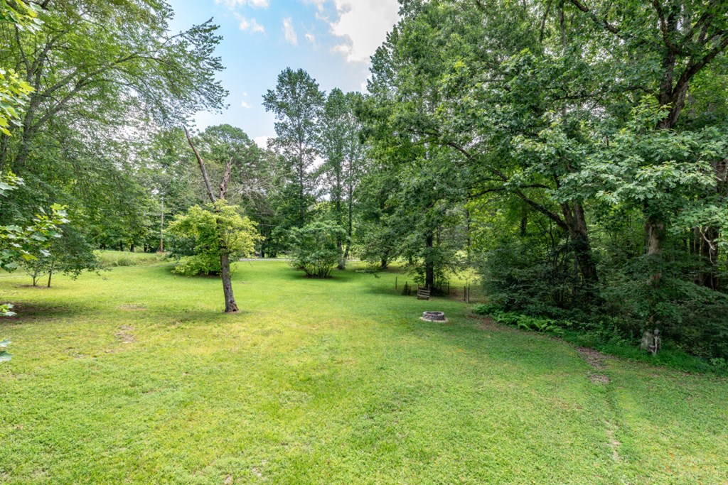 411 Piney Acres Road Blue Ridge, GA 30513 - Photo 11 of 72