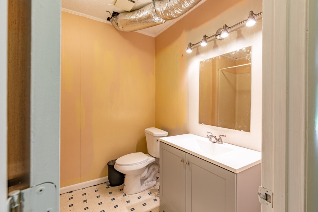 411 Piney Acres Road Blue Ridge, GA 30513 - Photo 37 of 72 a bathroom with a sink mirror vanity and toilet