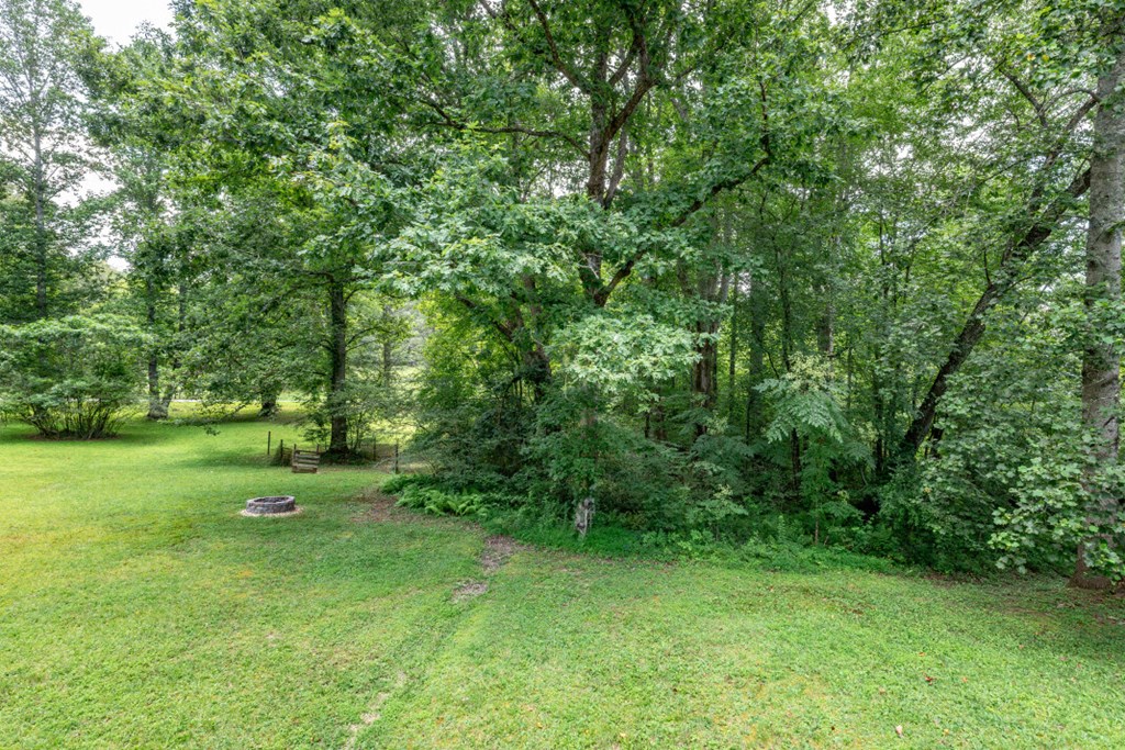 411 Piney Acres Road Blue Ridge, GA 30513 - Photo 53 of 72 a green field with lots of trees