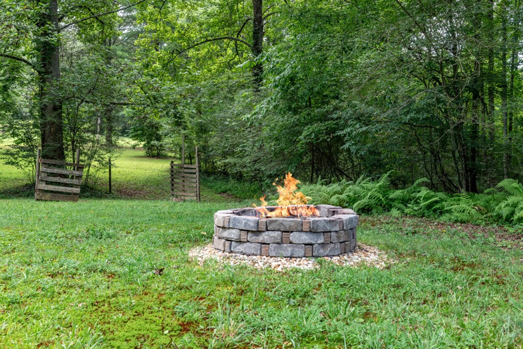 411 Piney Acres Road Blue Ridge, GA 30513 - Photo 55 of 72 a view of a tiny house with a yard
