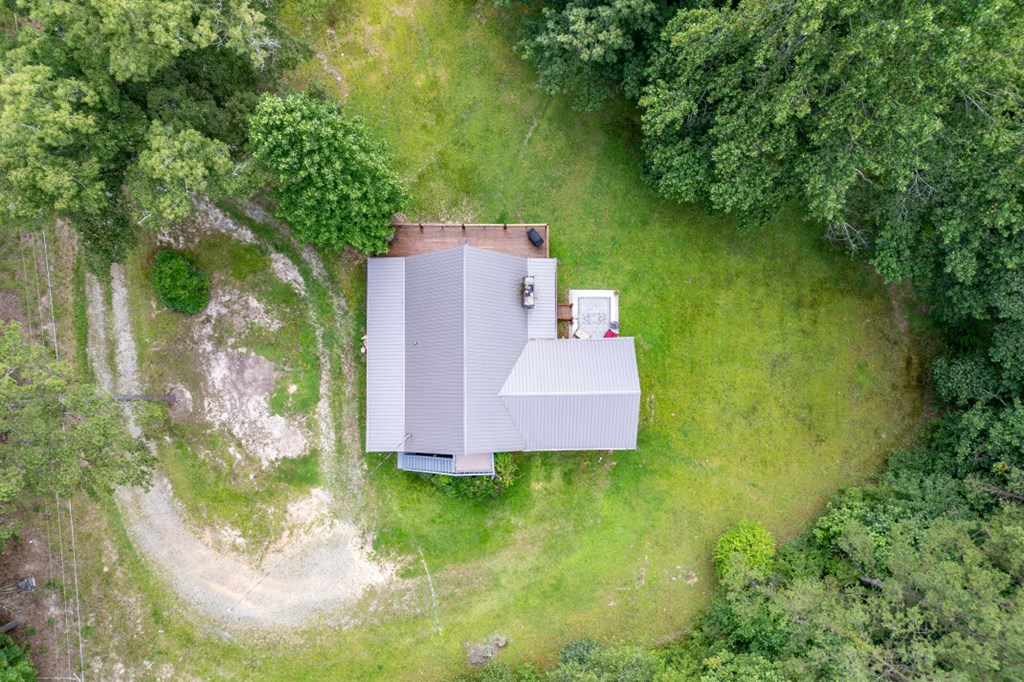411 Piney Acres Road Blue Ridge, GA 30513 - Photo 59 of 72 view of a house with a yard