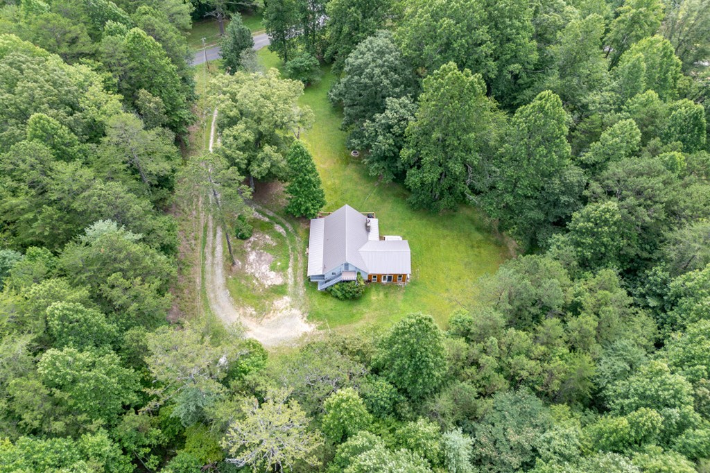 411 Piney Acres Road Blue Ridge, GA 30513 - Photo 60 of 72 an aerial view of residential house with outdoor space and trees all around