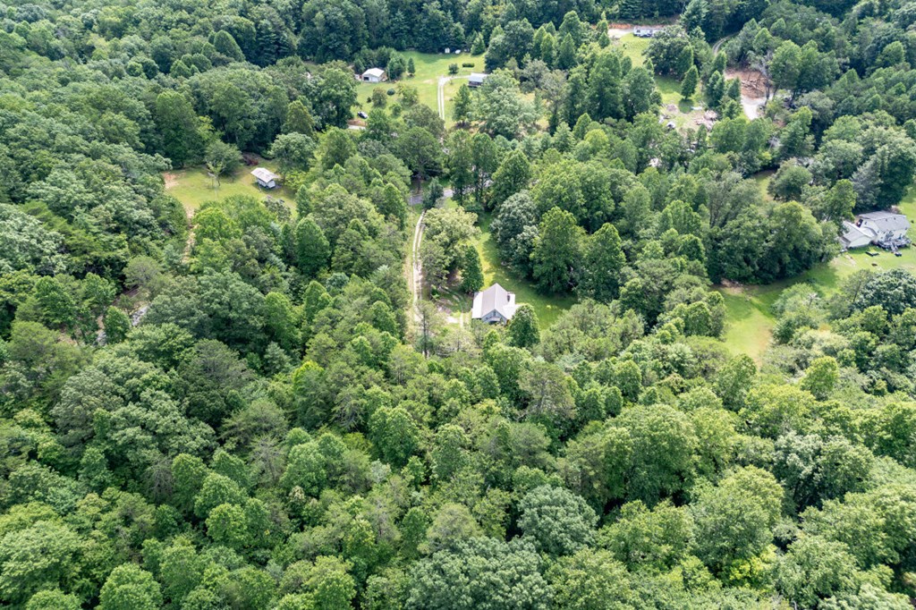 411 Piney Acres Road Blue Ridge, GA 30513 - Photo 61 of 72 an aerial view of a house with a yard