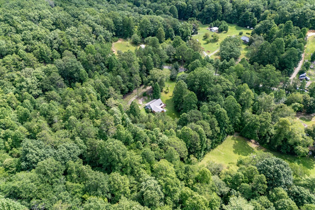 411 Piney Acres Road Blue Ridge, GA 30513 - Photo 62 of 72 an aerial view of residential house with outdoor space and trees all around