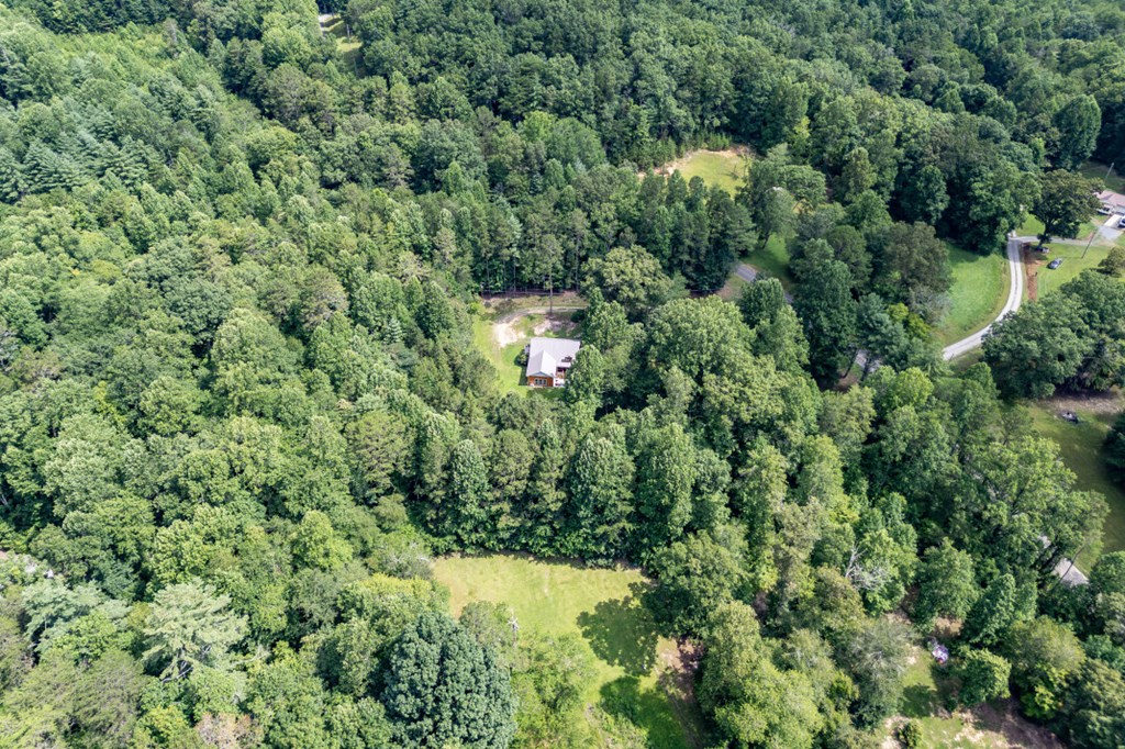 411 Piney Acres Road Blue Ridge, GA 30513 - Photo 63 of 72 an aerial view of residential house with outdoor space and trees all around