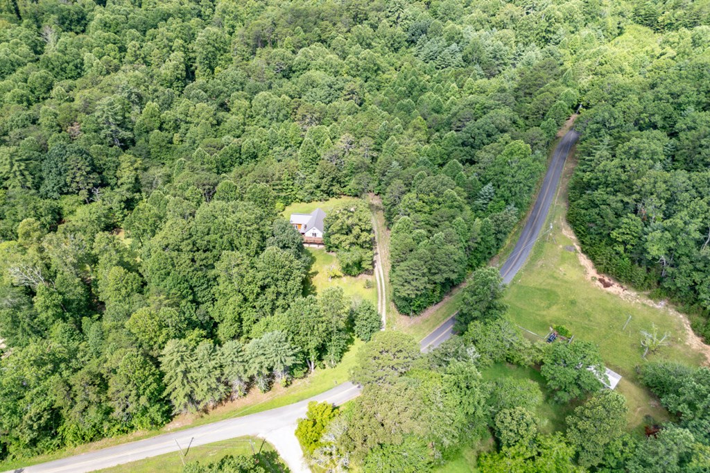 411 Piney Acres Road Blue Ridge, GA 30513 - Photo 64 of 72