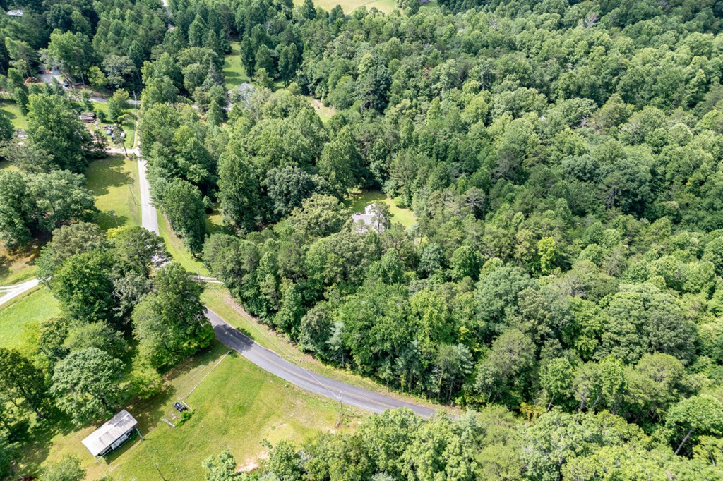 411 Piney Acres Road Blue Ridge, GA 30513 - Photo 65 of 72 an aerial view of residential house with outdoor space and trees all around