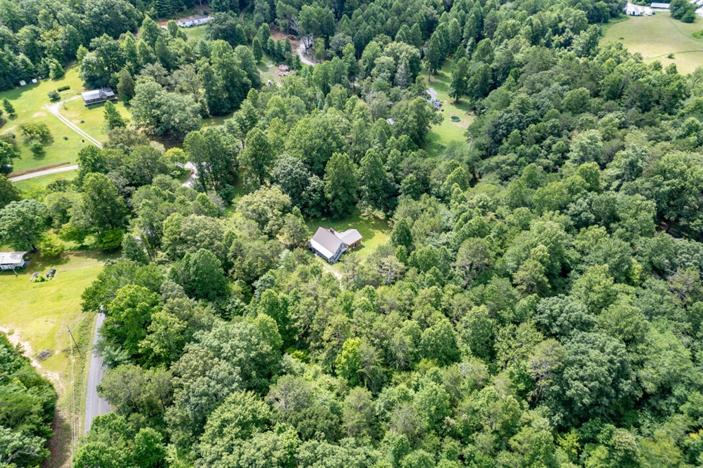 411 Piney Acres Road Blue Ridge, GA 30513 - Photo 66 of 72 an aerial view of residential house with outdoor space and trees all around