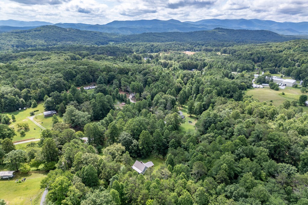 411 Piney Acres Road Blue Ridge, GA 30513 - Photo 67 of 72 a view of a forest with mountains in the background