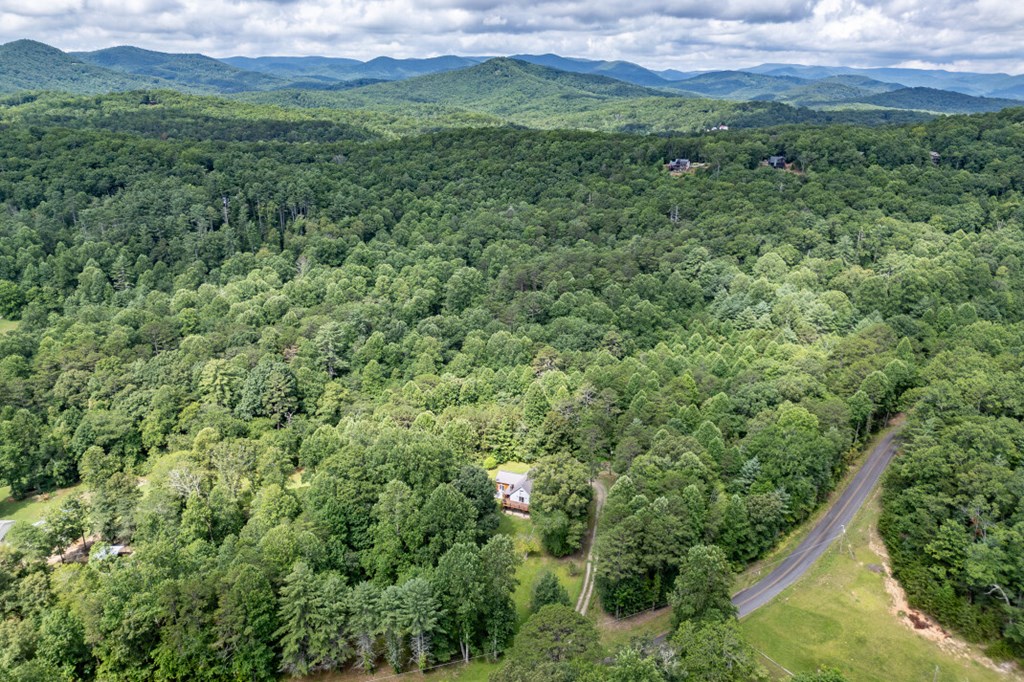 411 Piney Acres Road Blue Ridge, GA 30513 - Photo 68 of 72 a view of a lush green forest with lush green forest and mountain view