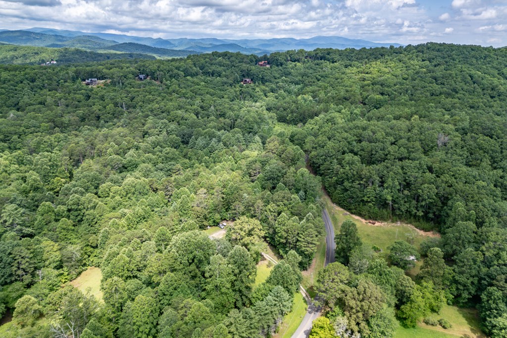 411 Piney Acres Road Blue Ridge, GA 30513 - Photo 69 of 72 a view of a lush green field