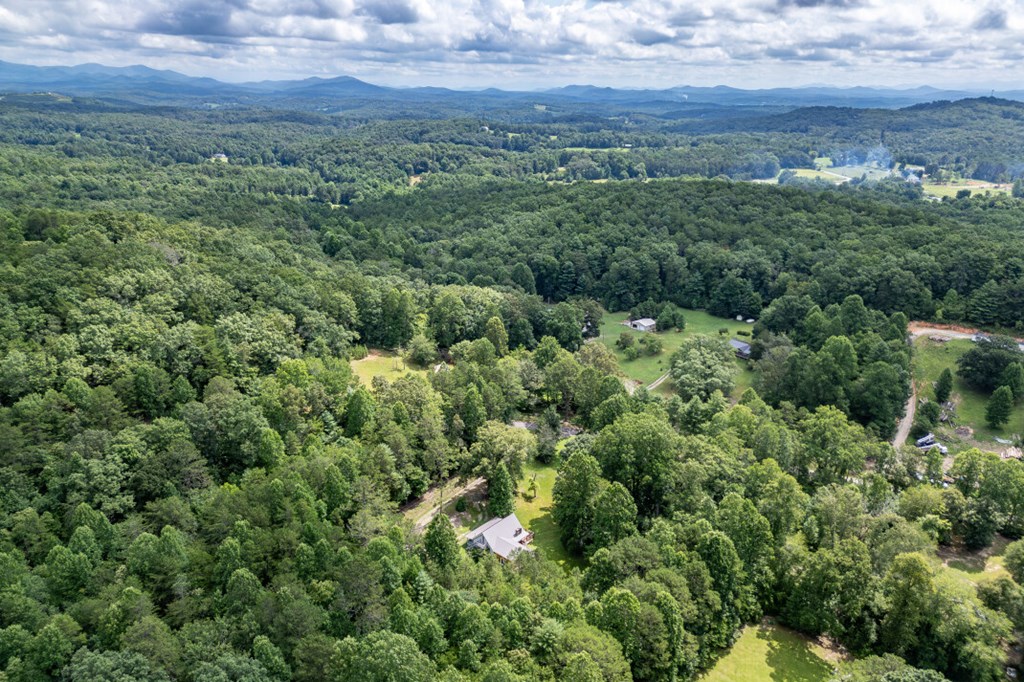 411 Piney Acres Road Blue Ridge, GA 30513 - Photo 70 of 72 an aerial view of residential house with outdoor space and trees all around