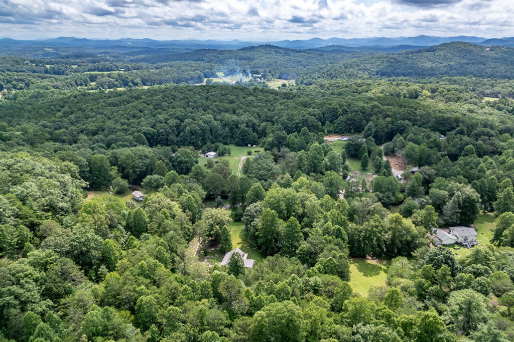 411 Piney Acres Road Blue Ridge, GA 30513 - Photo 71 of 72 an aerial view of houses with yard