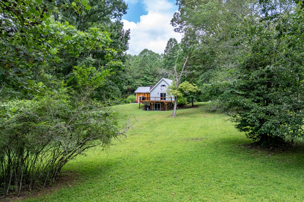 411 Piney Acres Road Blue Ridge, GA 30513 - Photo 72 of 72