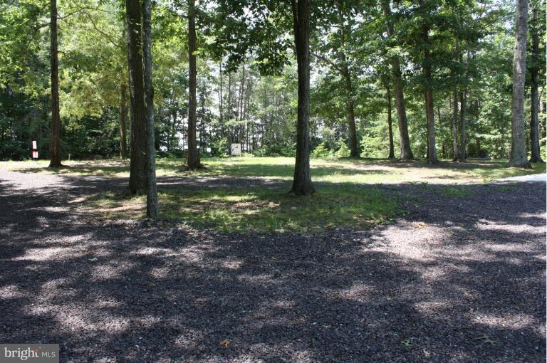 6002 Bills Road Mineral, VA 23117 - Photo 25 of 30 Exterior (Rear)