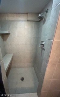 1735 Wrenford Road Cleveland, OH 44121 - Photo 24 of 35 Lower Level Shower