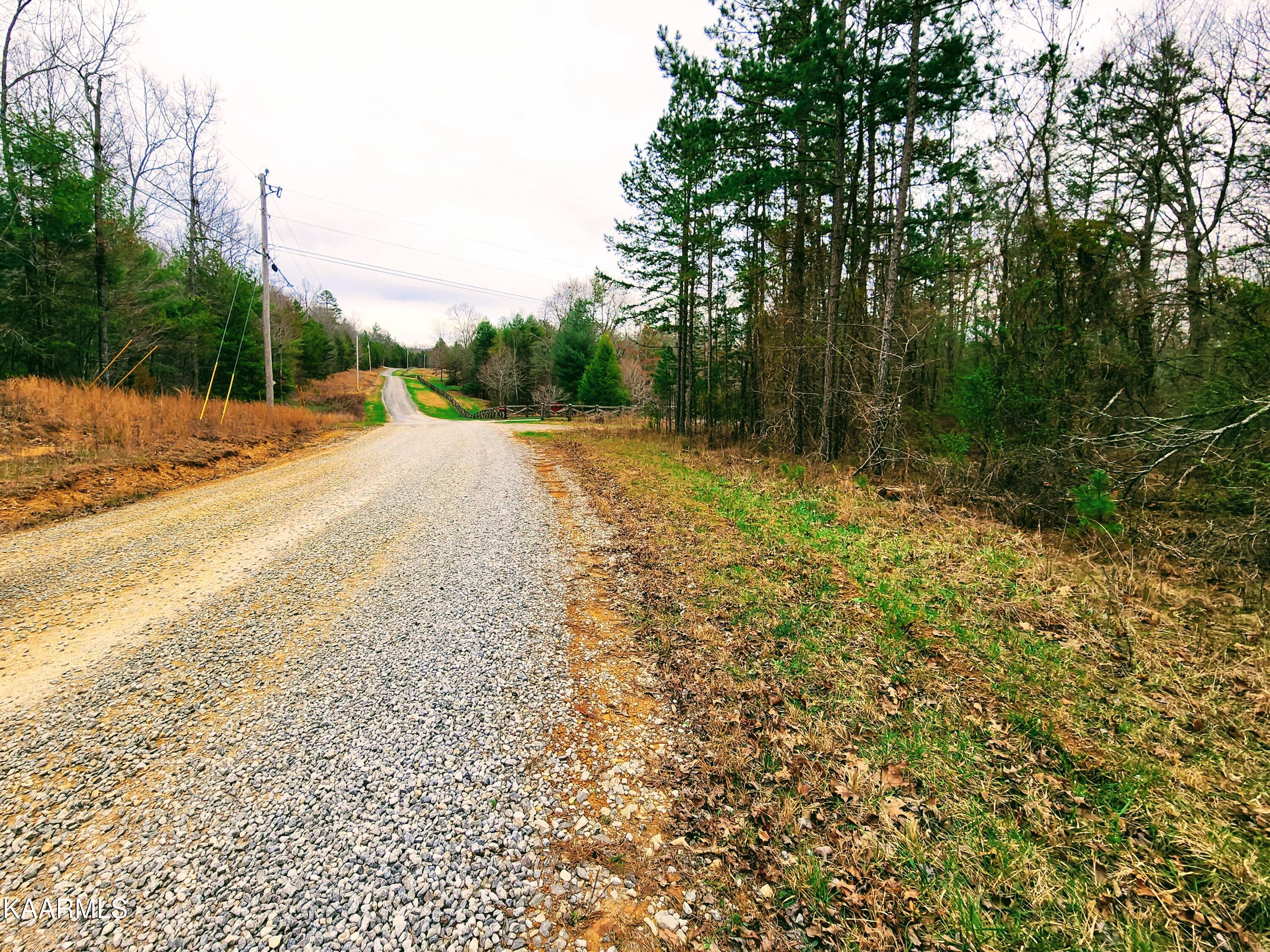 Anthony Road Sunbright, TN 37872 - Photo 7 of 13 20230321_164810
