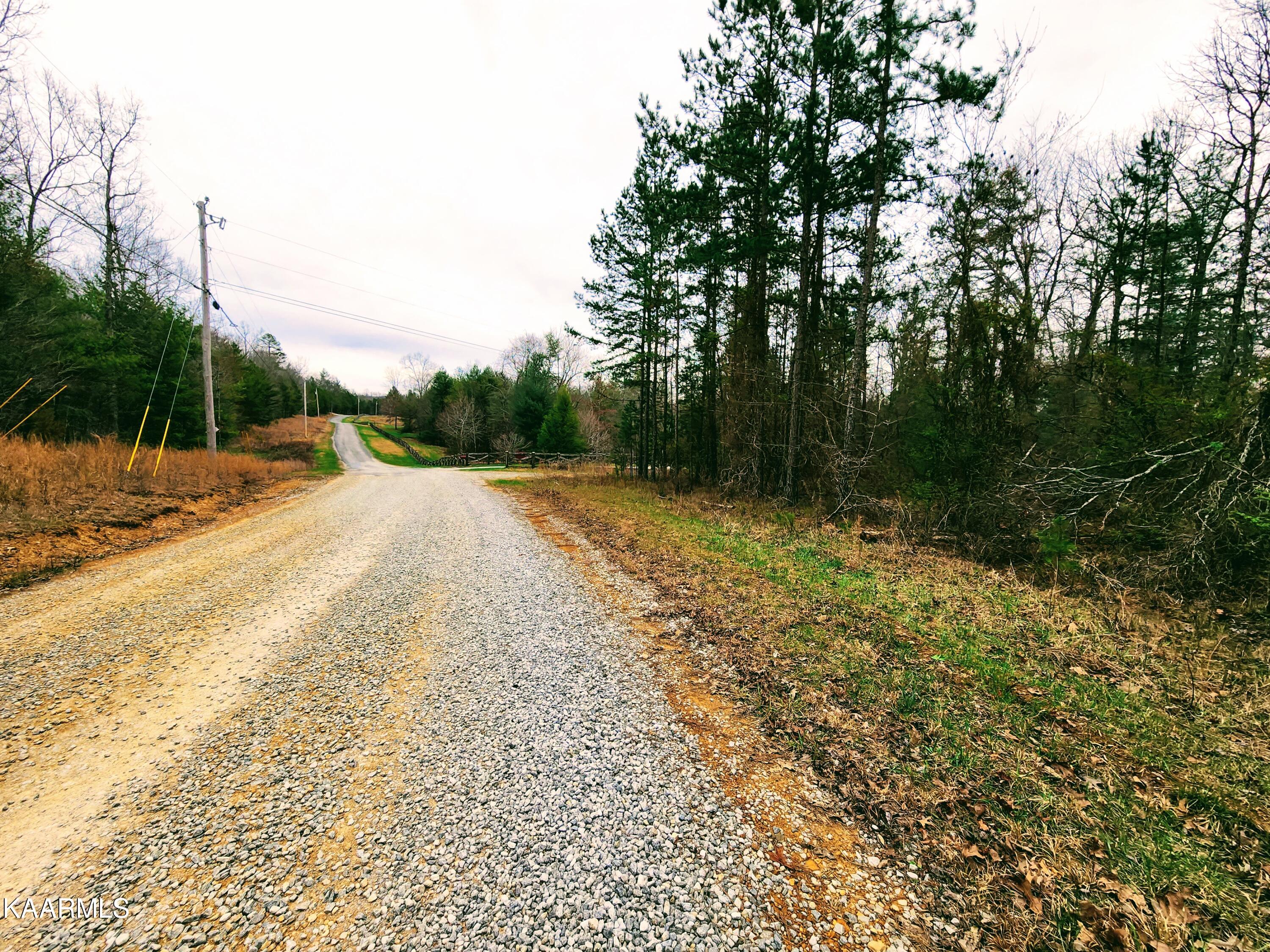 Anthony Road Sunbright, TN 37872 - Photo 8 of 13 20230321_164812