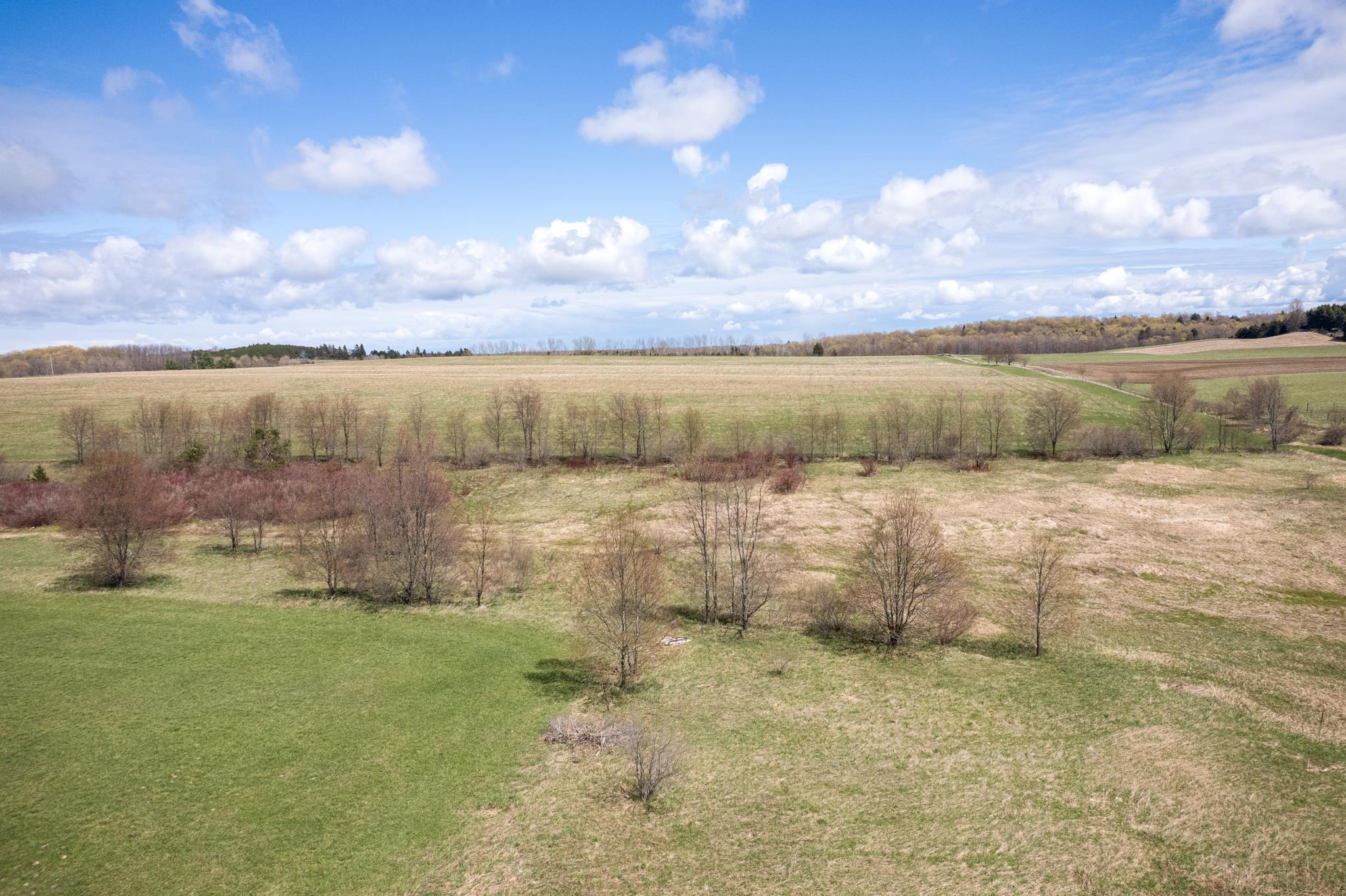 4331 South French Road Cedar, MI 49621 - Photo 42 of 42