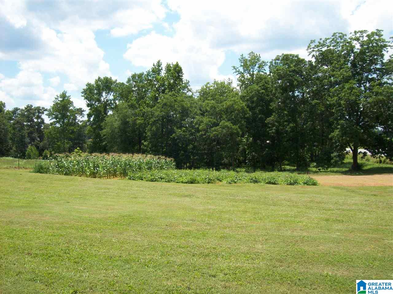 31530 Highway 48 Graham, AL 36263 - Photo 15 of 41