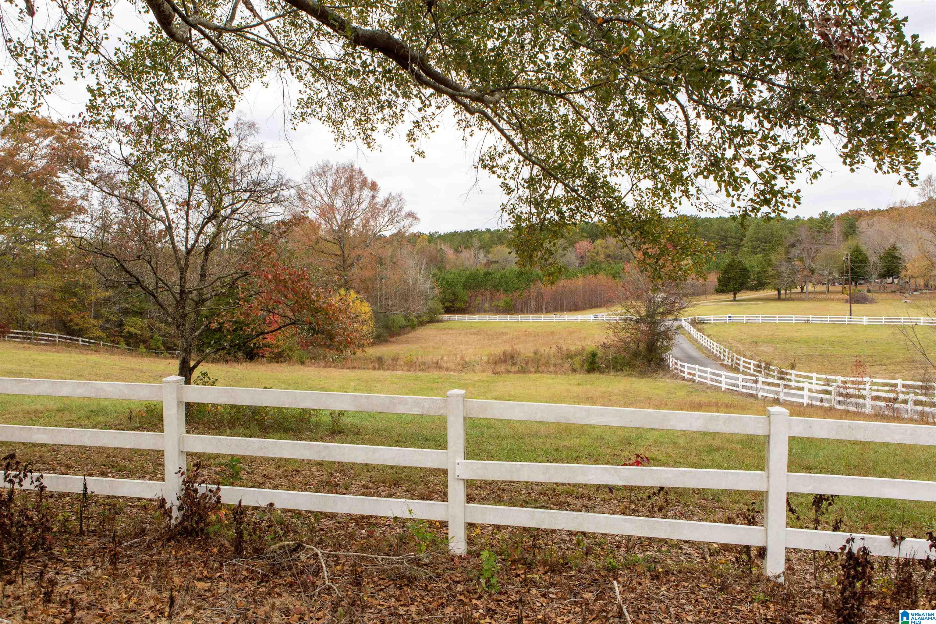 10543 Ford Valley Road Gadsden, AL 35905 - Photo 1 of 31
