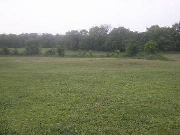 945 State Rt 147 Vienna, IL 62995 - Photo 2 of 12