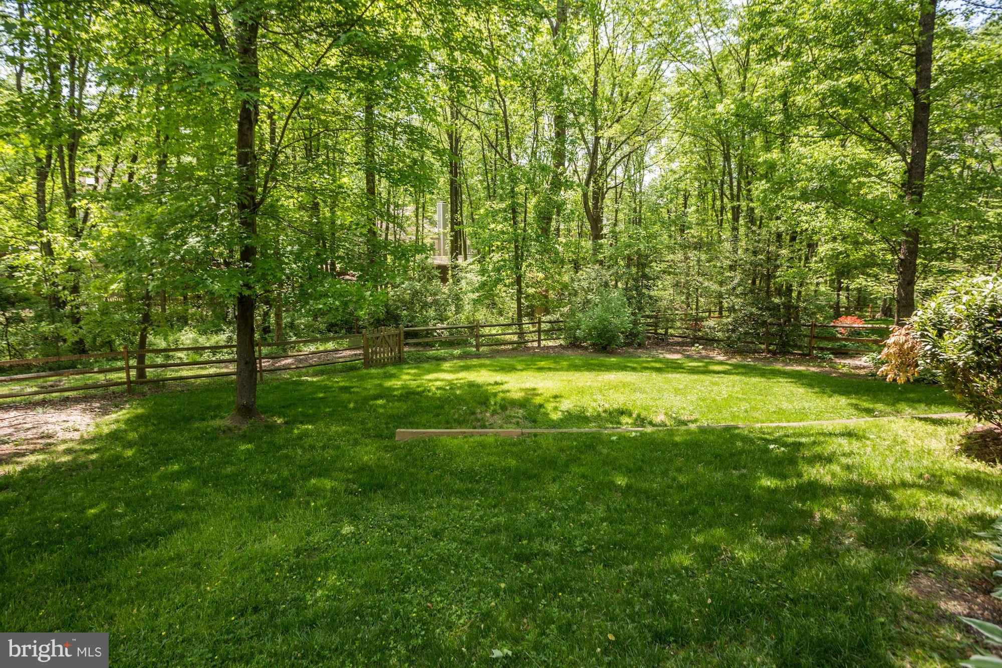 1329 Quail Ridge Drive Reston, VA 20194 - Photo 30 of 30 Rear Yard