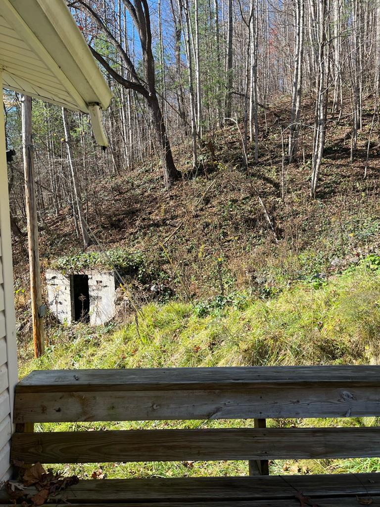 7813 Dry Fork Road North Tazewell, VA 24630 - Photo 15 of 44 Gallery Image 15