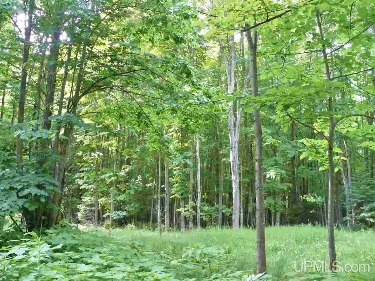 Tbd Tbd Co Road Big Bay, MI 49808 - Photo 2 of 4