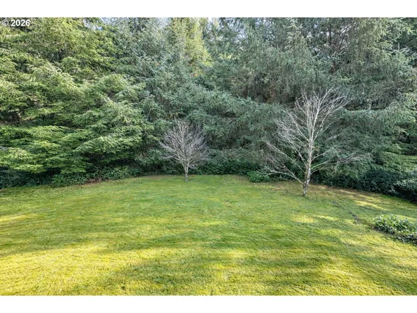 a view of a field with a trees in the background