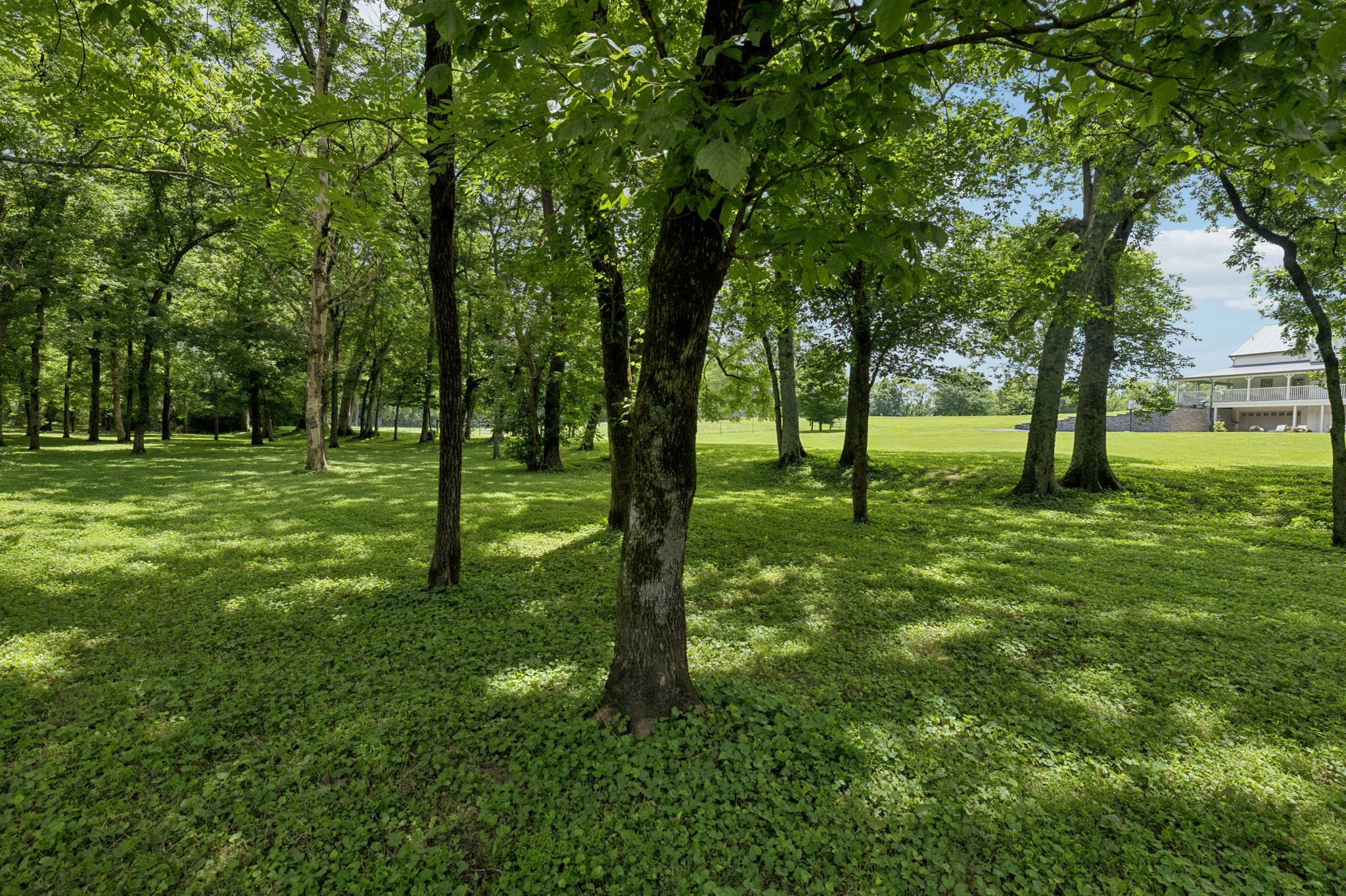 3380 Southall Road Franklin, TN 37064 - Photo 32 of 36