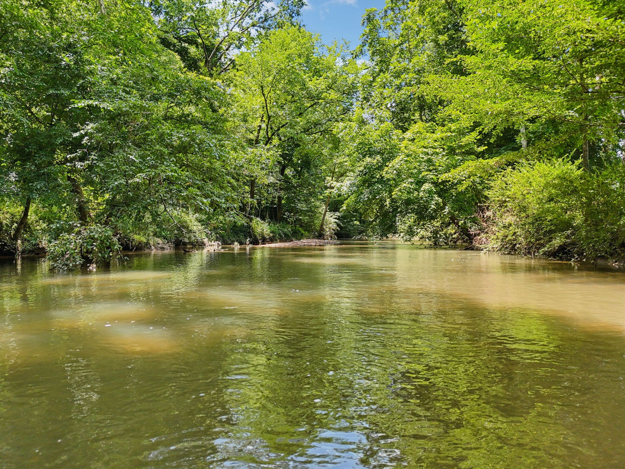 3380 Southall Road Franklin, TN 37064 - Photo 5 of 36