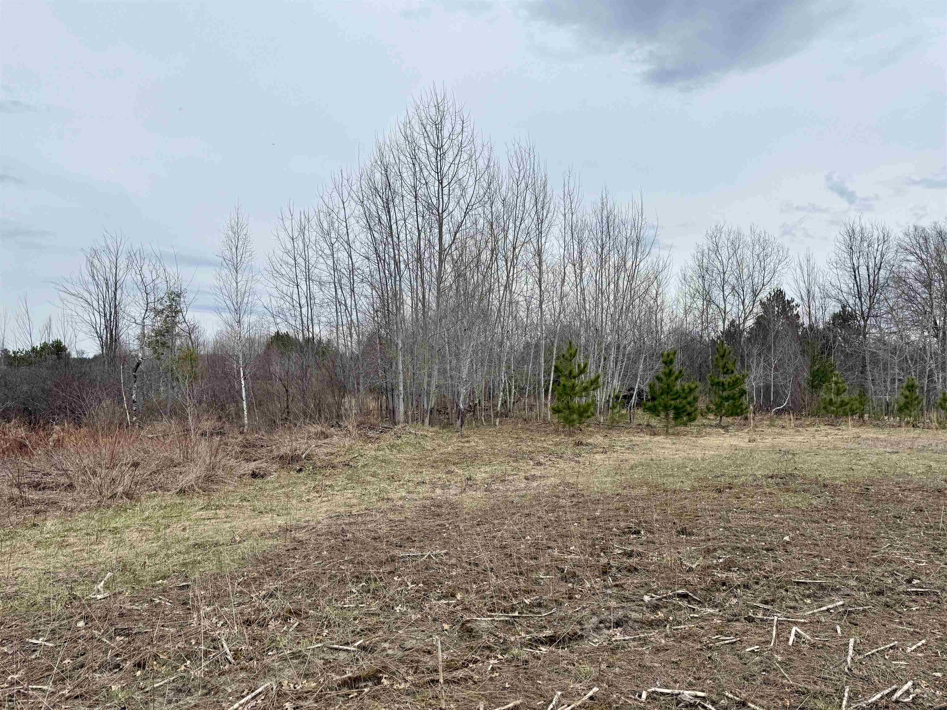 7 Gleaner Hall Road Kingsley, MI 49649 - Photo 12 of 16