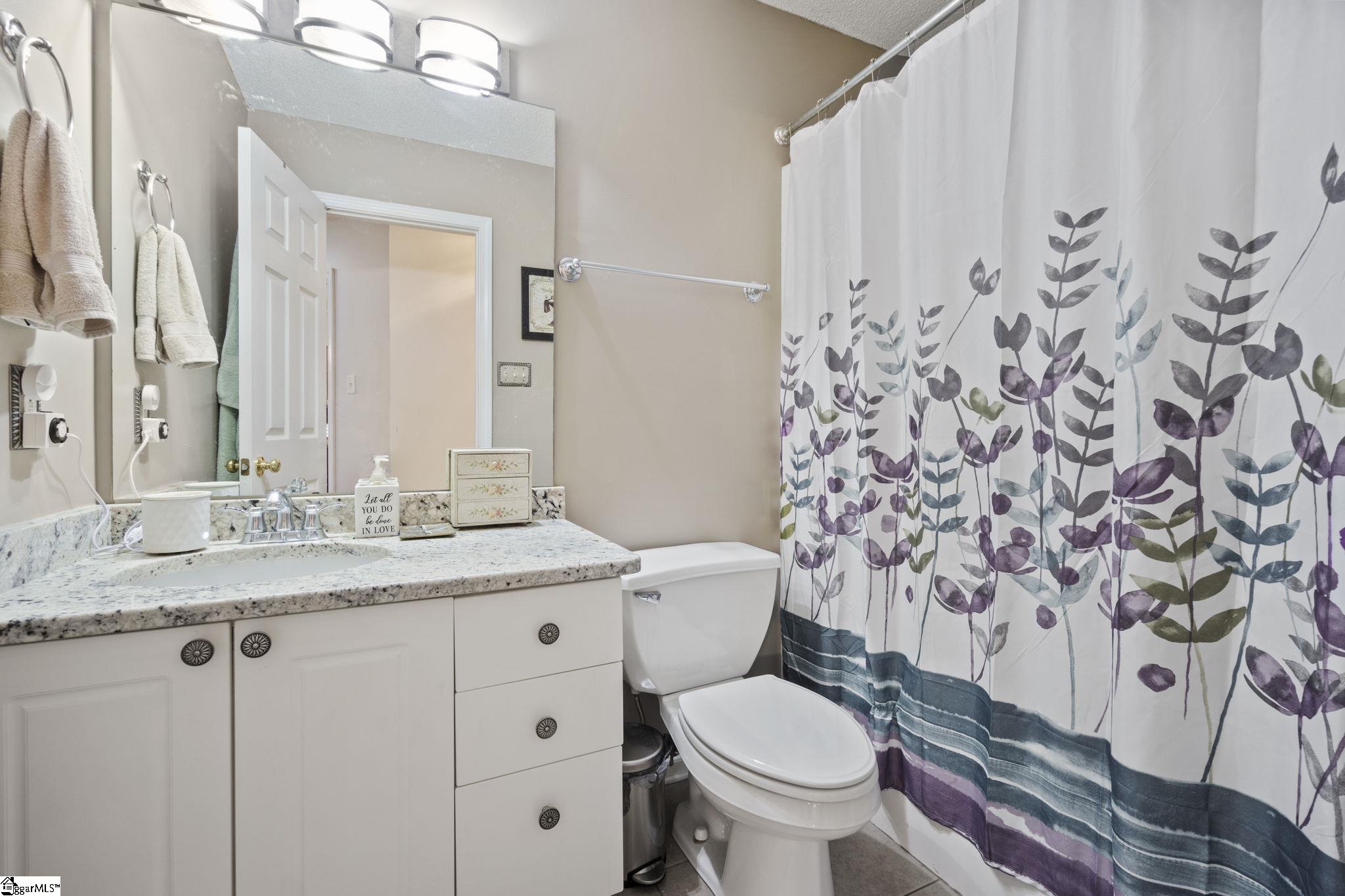4 Bluff Point Court Greenville, SC 29605 - Photo 16 of 21