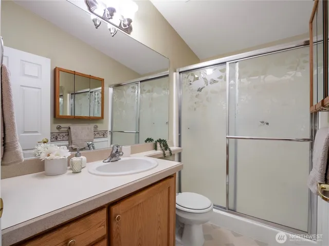 a bathroom with a sink a toilet a mirror a vanity and shower