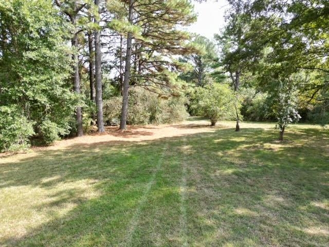 12115 Macon Road Collierville, TN 38017 - Photo 2 of 8 View of yard