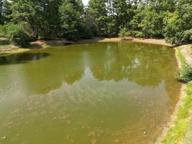 12115 Macon Road Collierville, TN 38017 - Photo 7 of 8 Water view