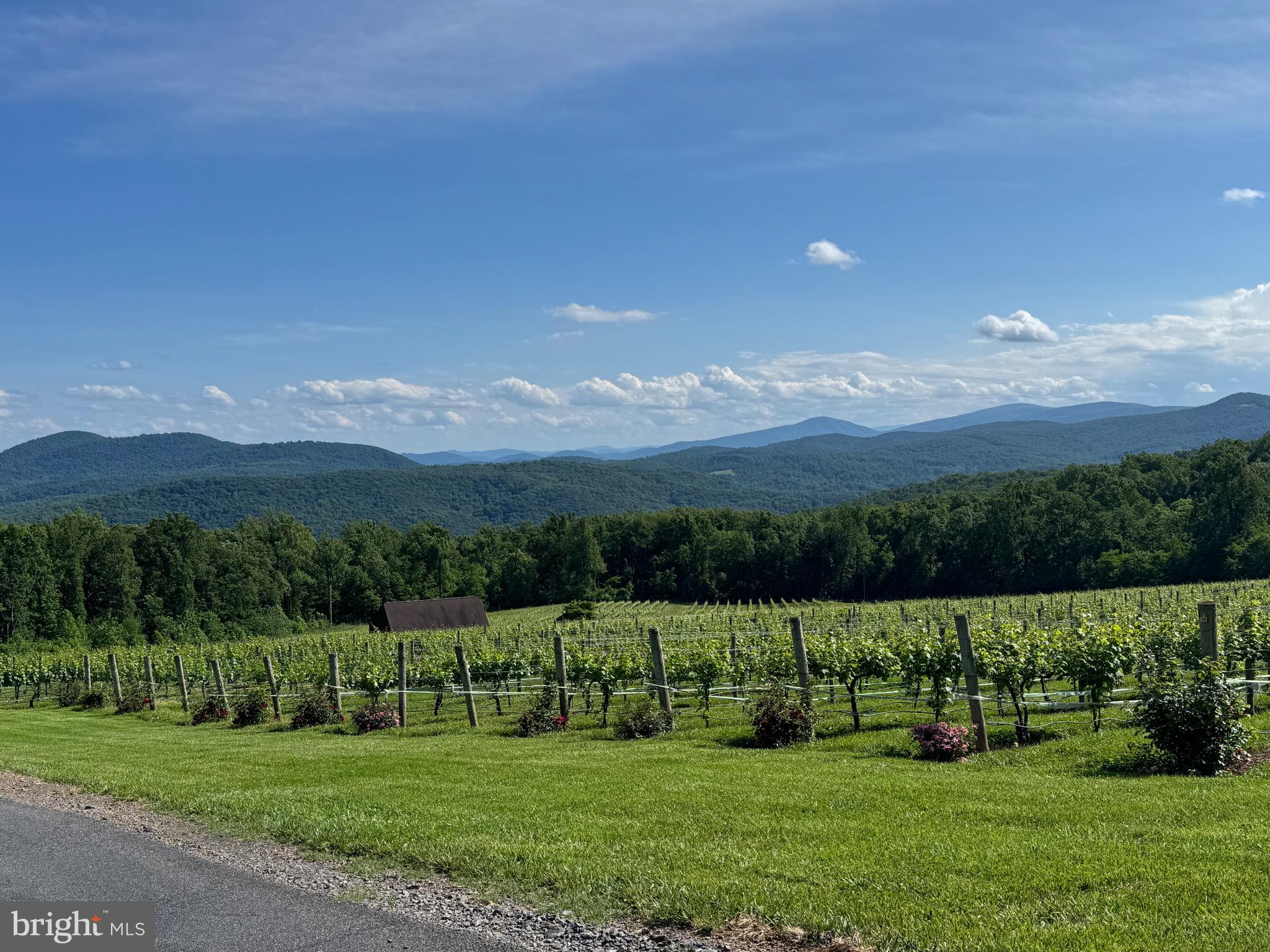 1440 Drummer Hill Road Front Royal, VA 22630 - Photo 39 of 58 a view of a green field with mountains in the background