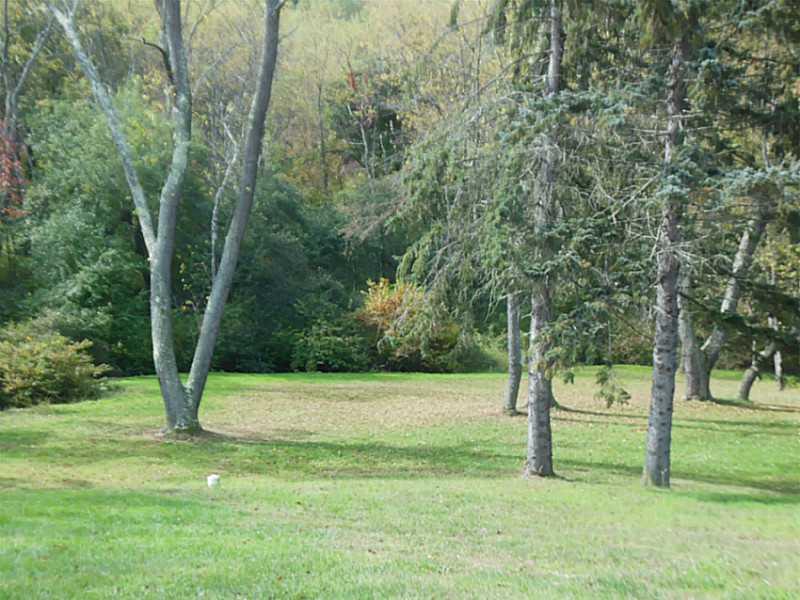 5283 Greensburg Road Apollo, PA 15613 - Photo 19 of 24 Land.