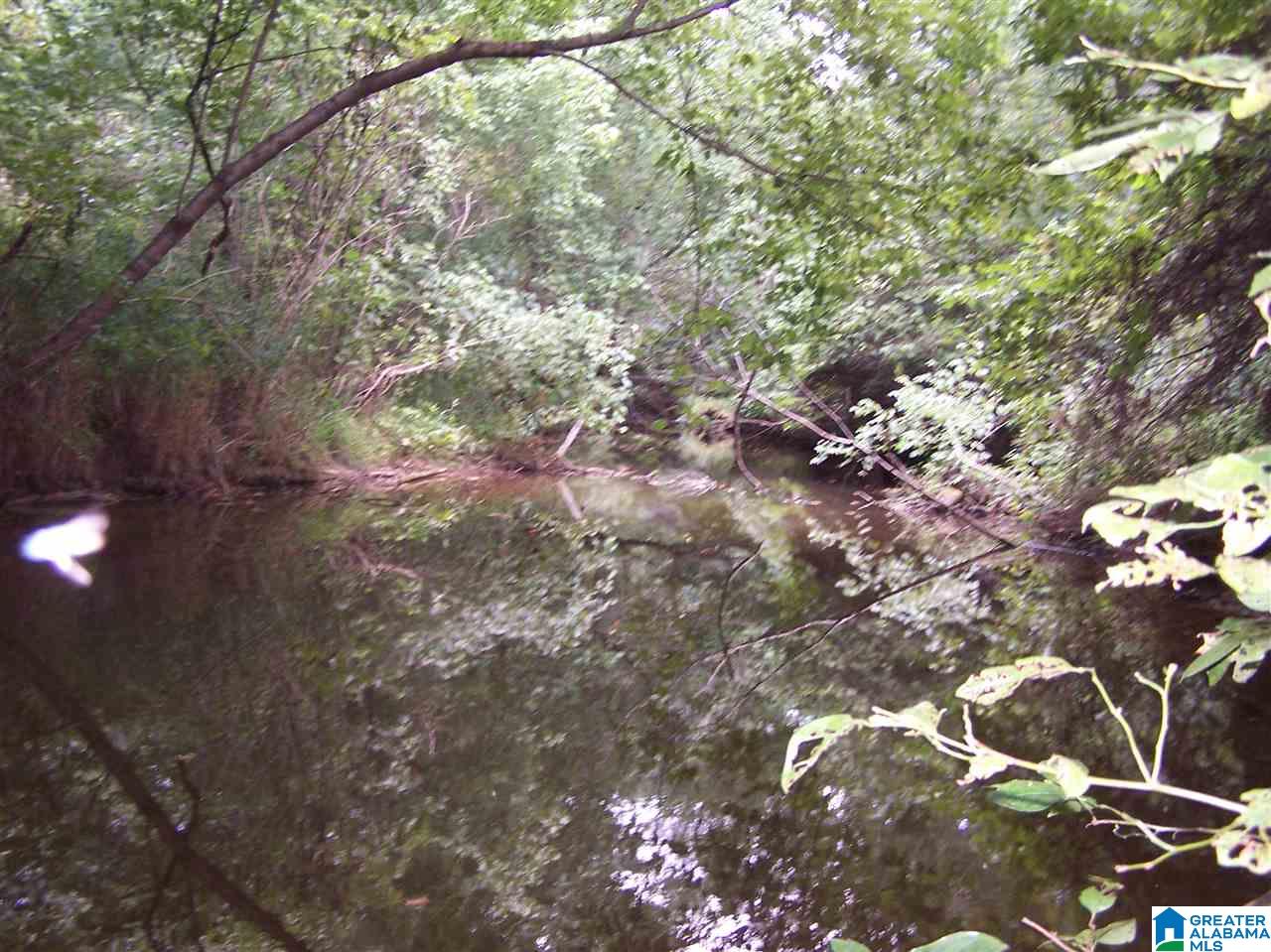 0 Jackson Trail, Unit 140 ACRES Altoona, AL 35952 - Photo 17 of 50