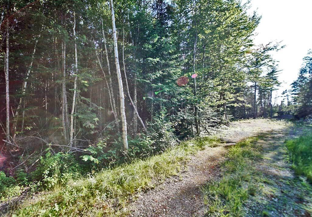 Lot 4 Miller Road Amity, ME 04471 - Photo 9 of 33 land-williams-road-amity