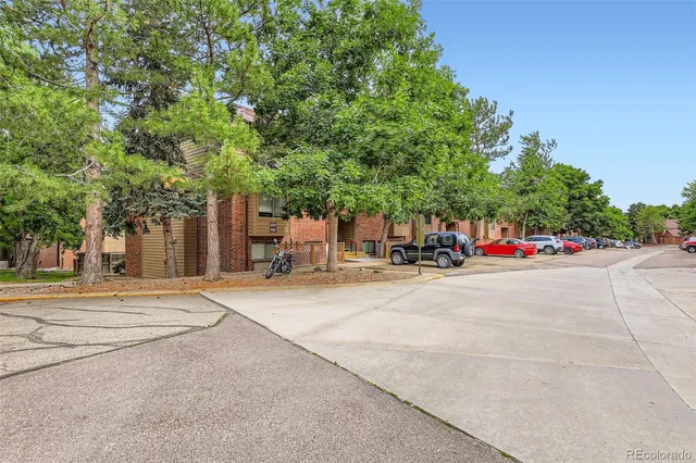 a park view with large trees