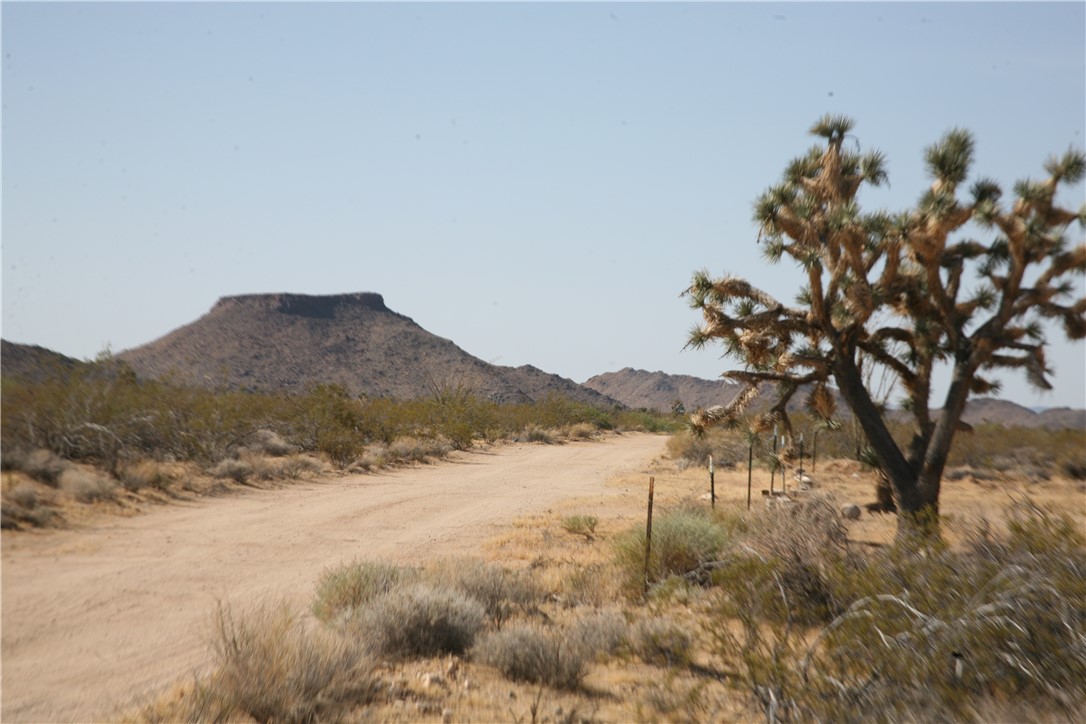 245-18-266 Alan Road Yucca, AZ 86438 - Photo 1 of 54