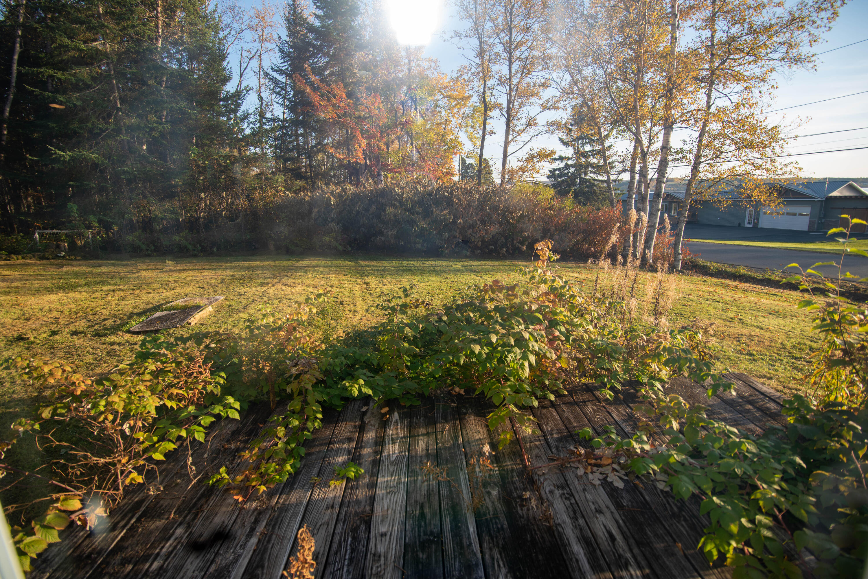 836 Lake Shore Road St. David, ME 04773 - Photo 20 of 51 DSC_0664