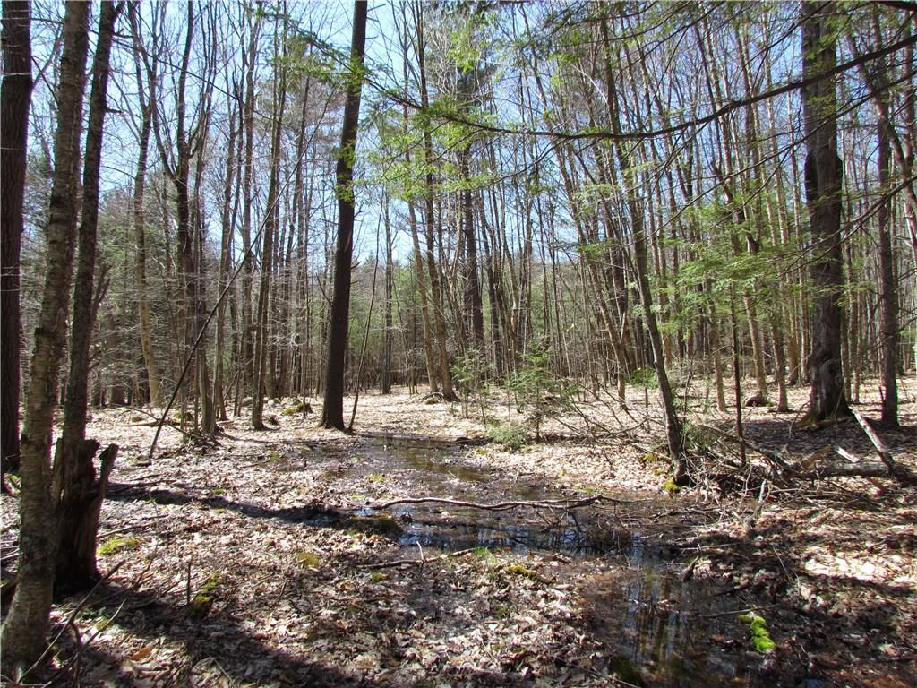 S/s South Orchard Road Cumberland Center, ME 04021 - Photo 19 of 27 Photo