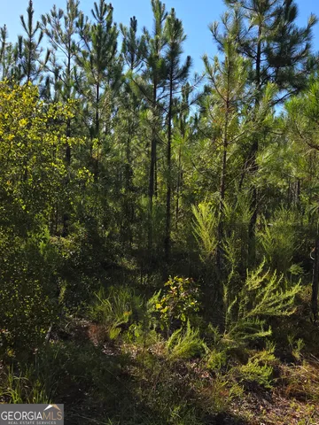 $245,070 | 0 Walden Way, Adrian, GA 31002