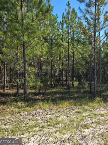 $245,070 | 0 Walden Way, Adrian, GA 31002