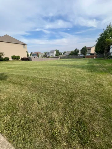 a view of a field with lawn chairs and large trees